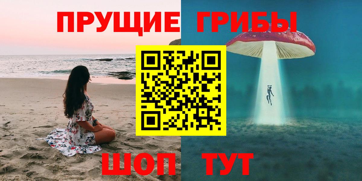 где купить наркоту  Псилоцибиновые грибы ЛСД  Альметьевск  Вход с VPN  Псилоцибиновые грибы Psilocybine cubensis 